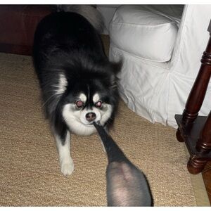 UNLISTEF SHOW ITEM 6